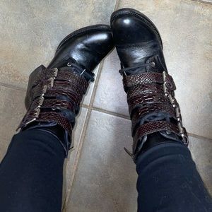 Freebird by Steven Candice